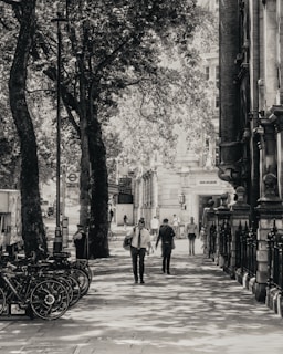 A black and white photograph of a city street lined with trees and historic buildings. Several people are walking on the sidewalk, some carrying bags, while a row of bicycles is parked nearby. Sunlight filters through the leaves, creating dappled patterns on the ground. The scene conveys a mix of urban and natural elements.