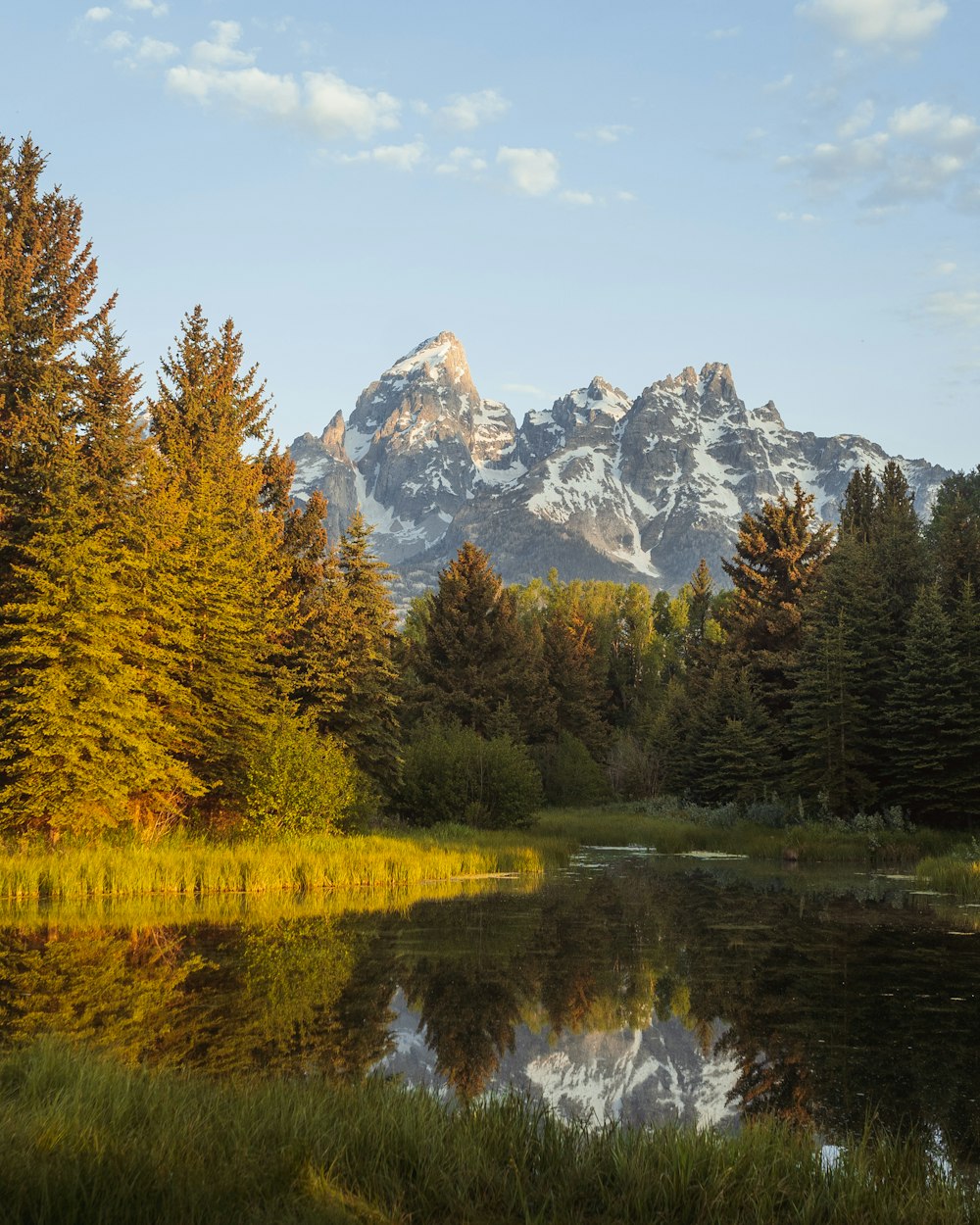 a lake with trees and a mountain in the background