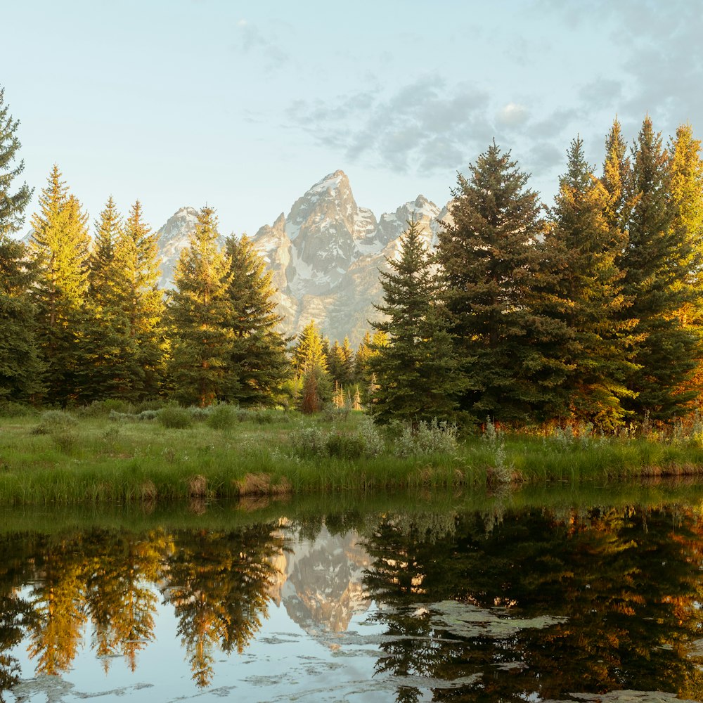 a lake surrounded by trees and mountains