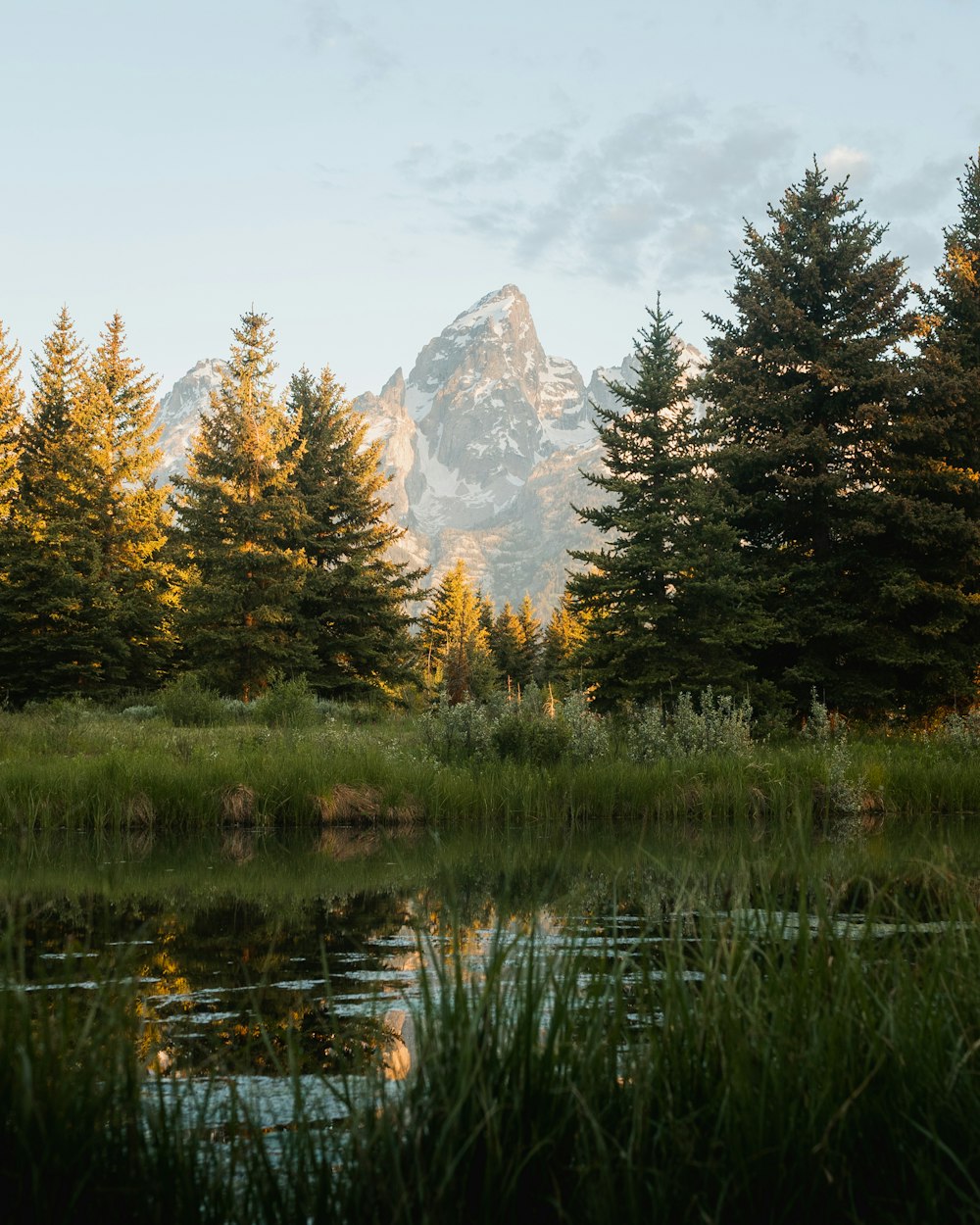 a lake with trees and a mountain in the background