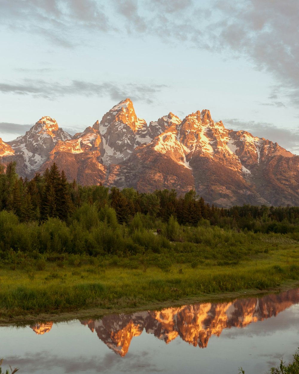 a mountain with trees and grass