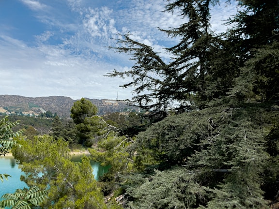 A scenic view highlighting our brand's essence.