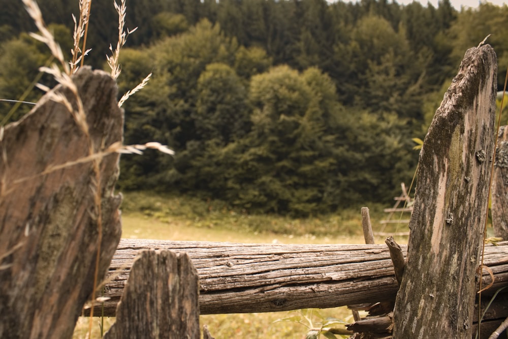 a fence with trees in the background