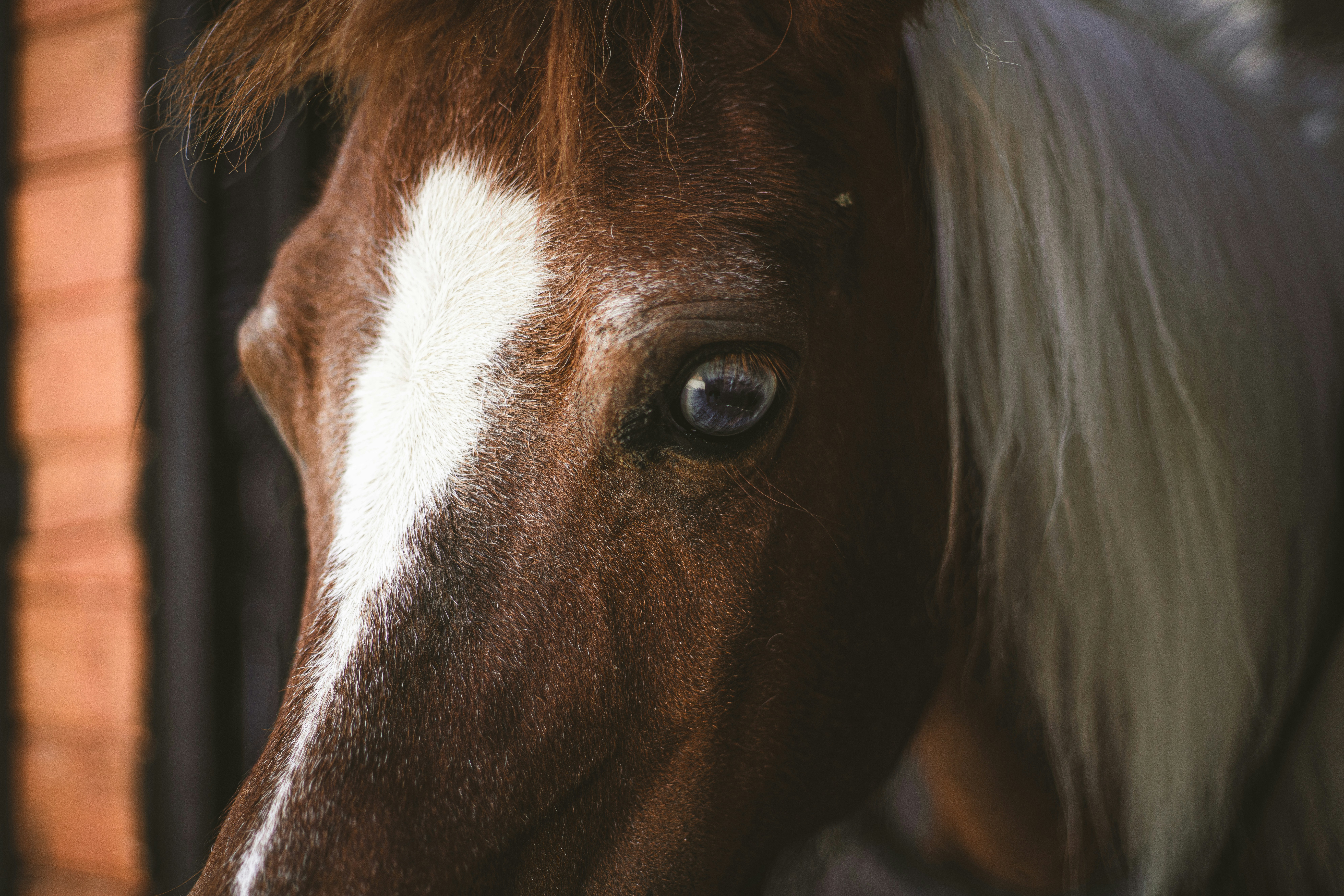 Photo by yigitarisoy