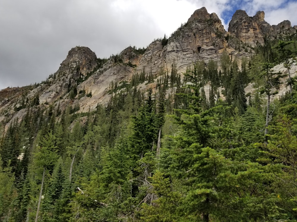 a rocky mountain with trees