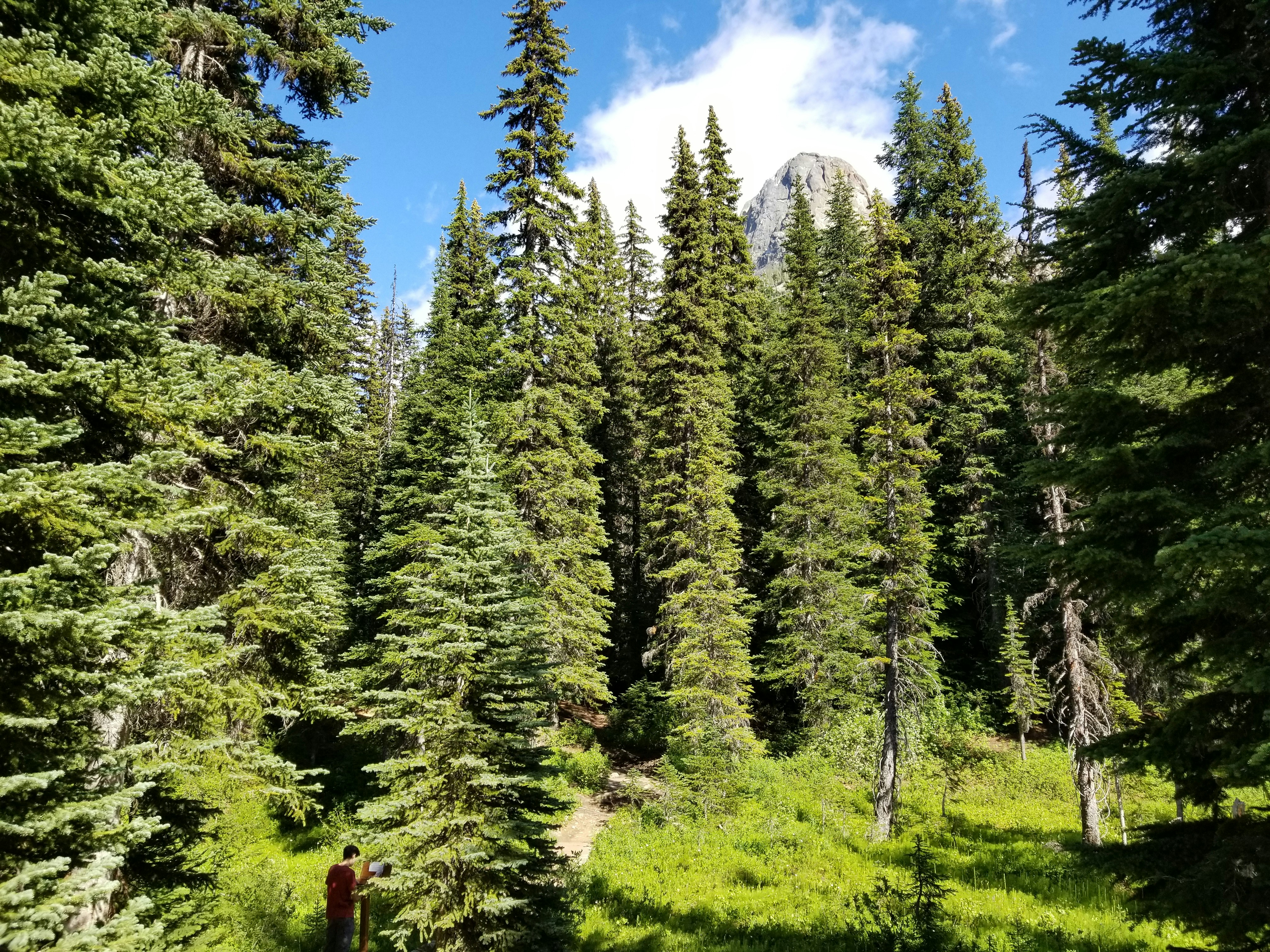 Photo by prphotography262