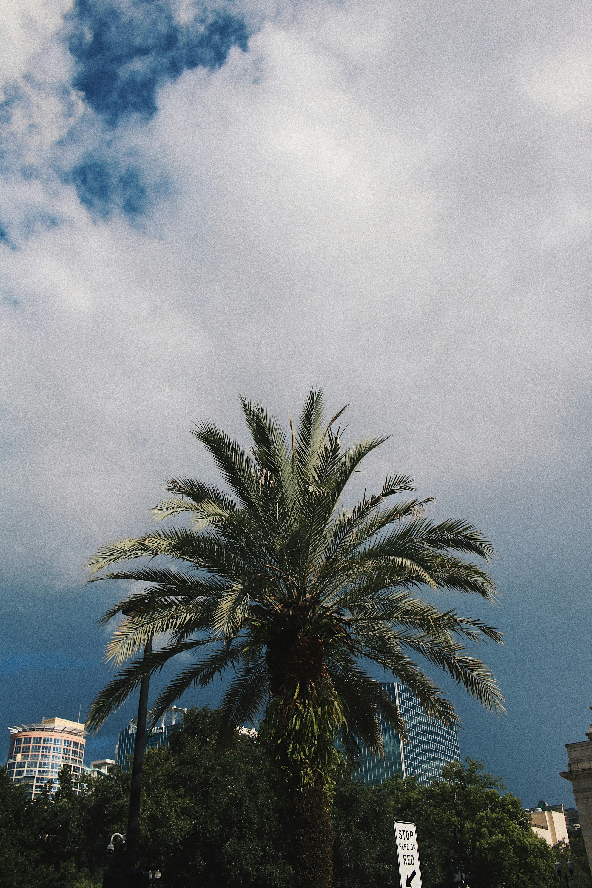 Lake Eola Park photo 3