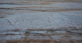 A landscape of cracked, dry earth showing the effects of drought. The ground is covered with large, irregular fissures and a general lack of vegetation.