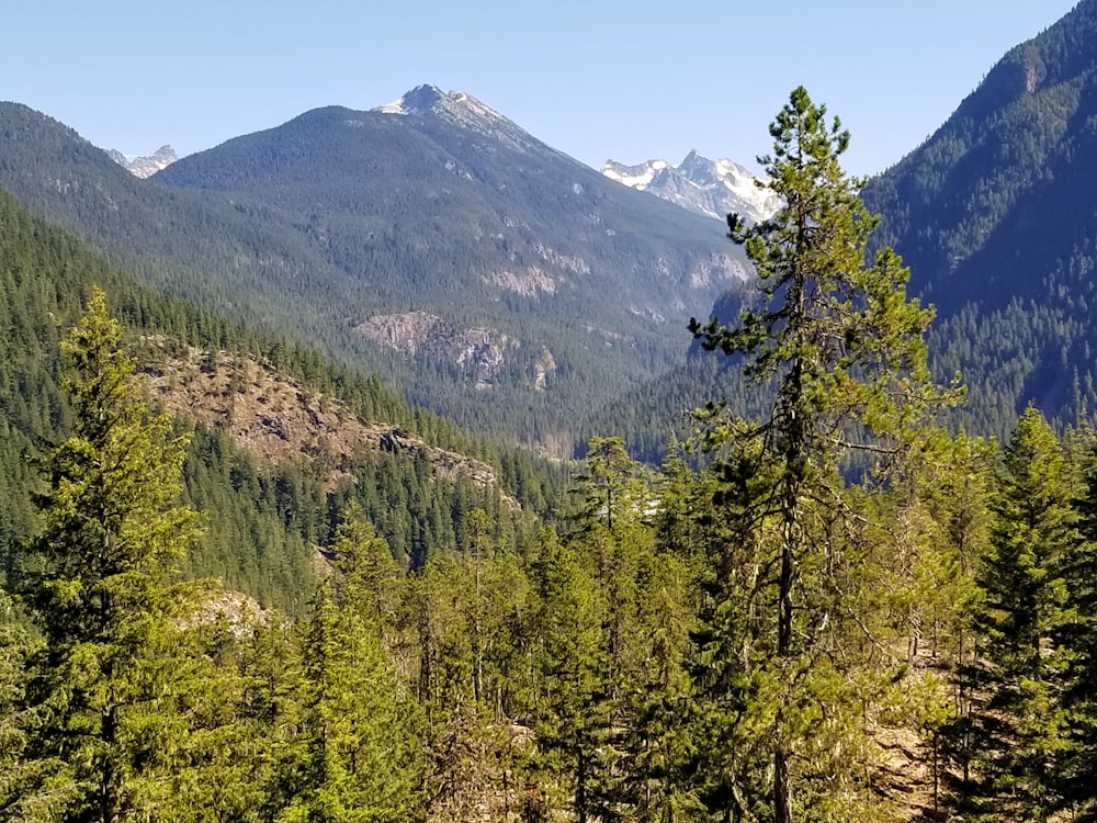 Eine Bergkette mit Bäumen