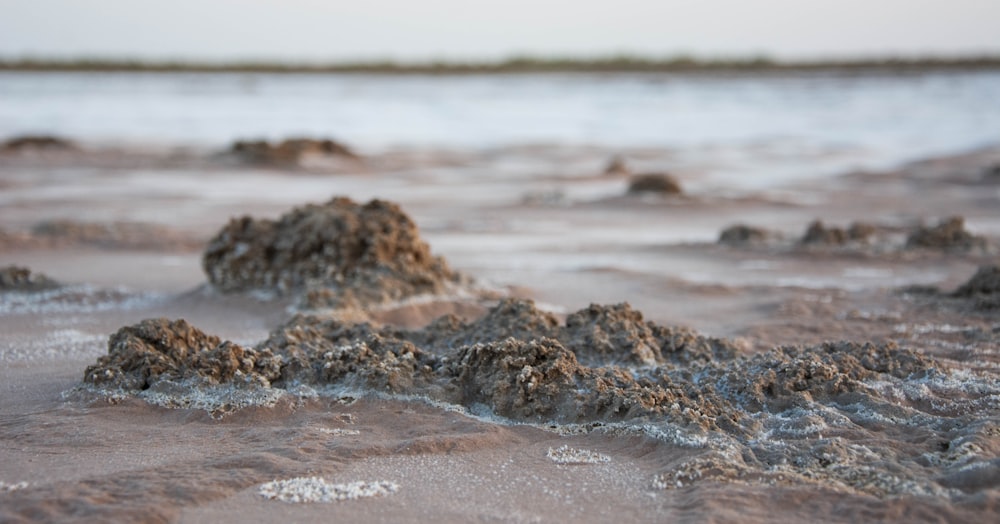 a close-up of a beach