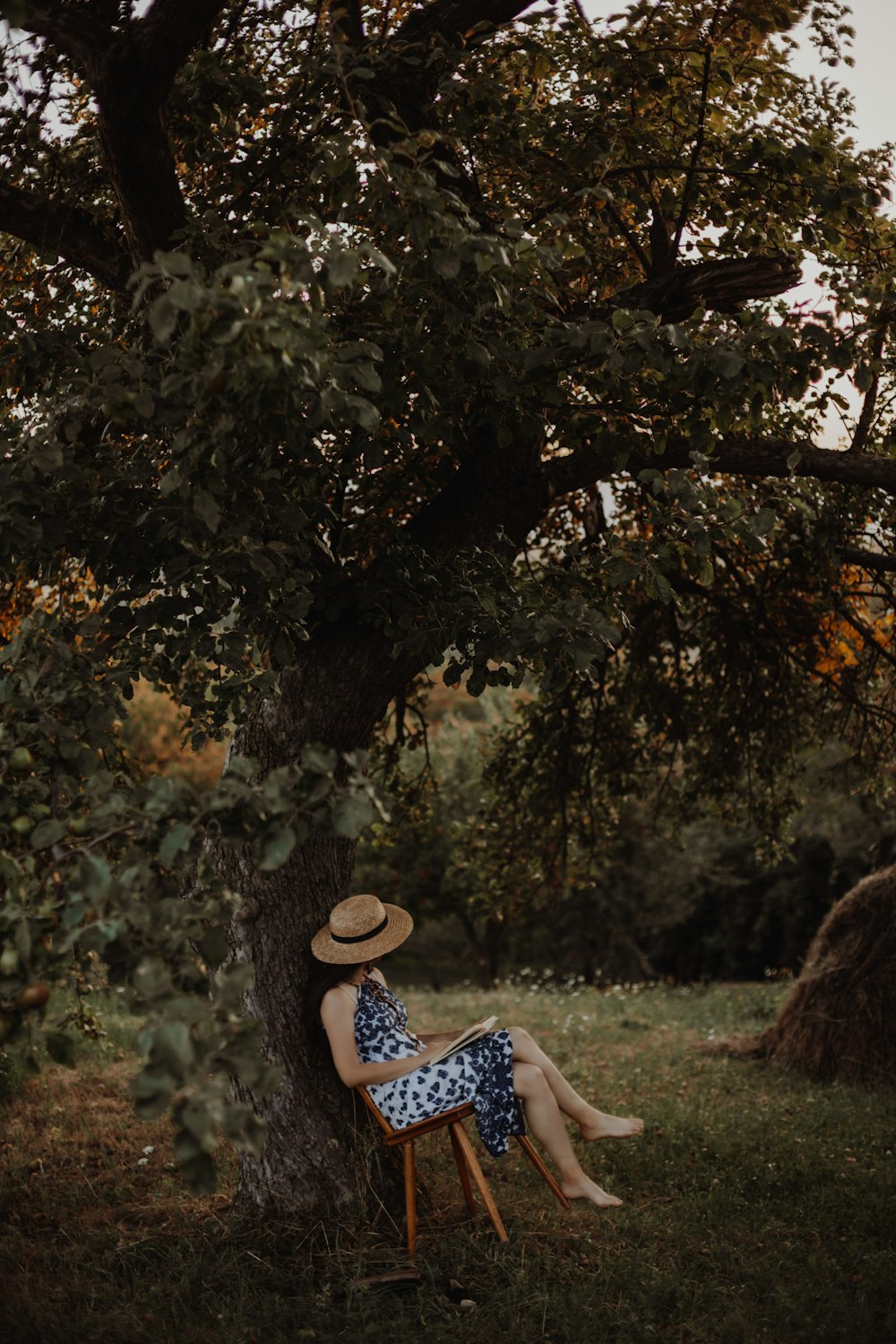 a person sitting in a chair under a tree