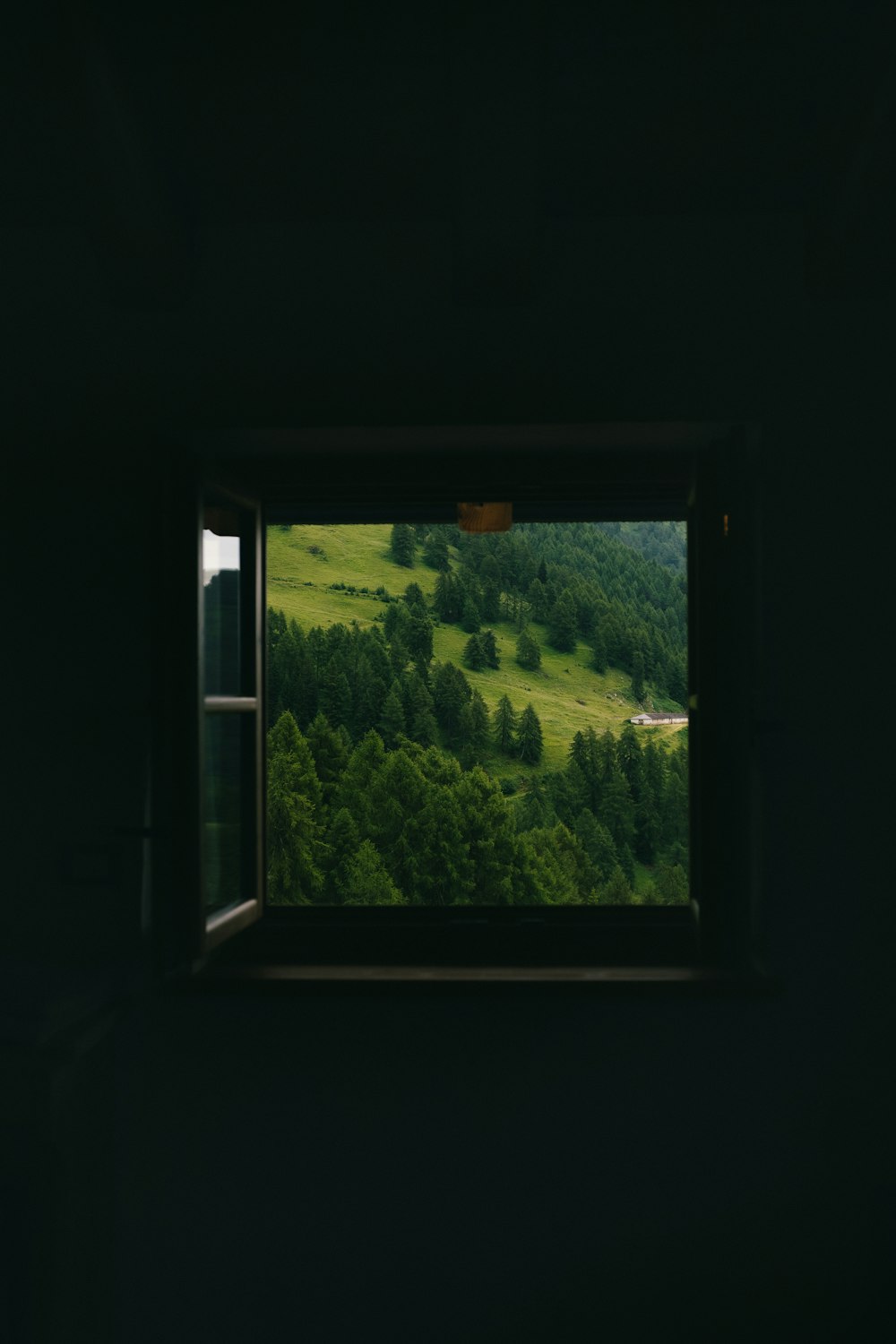 a window with trees outside