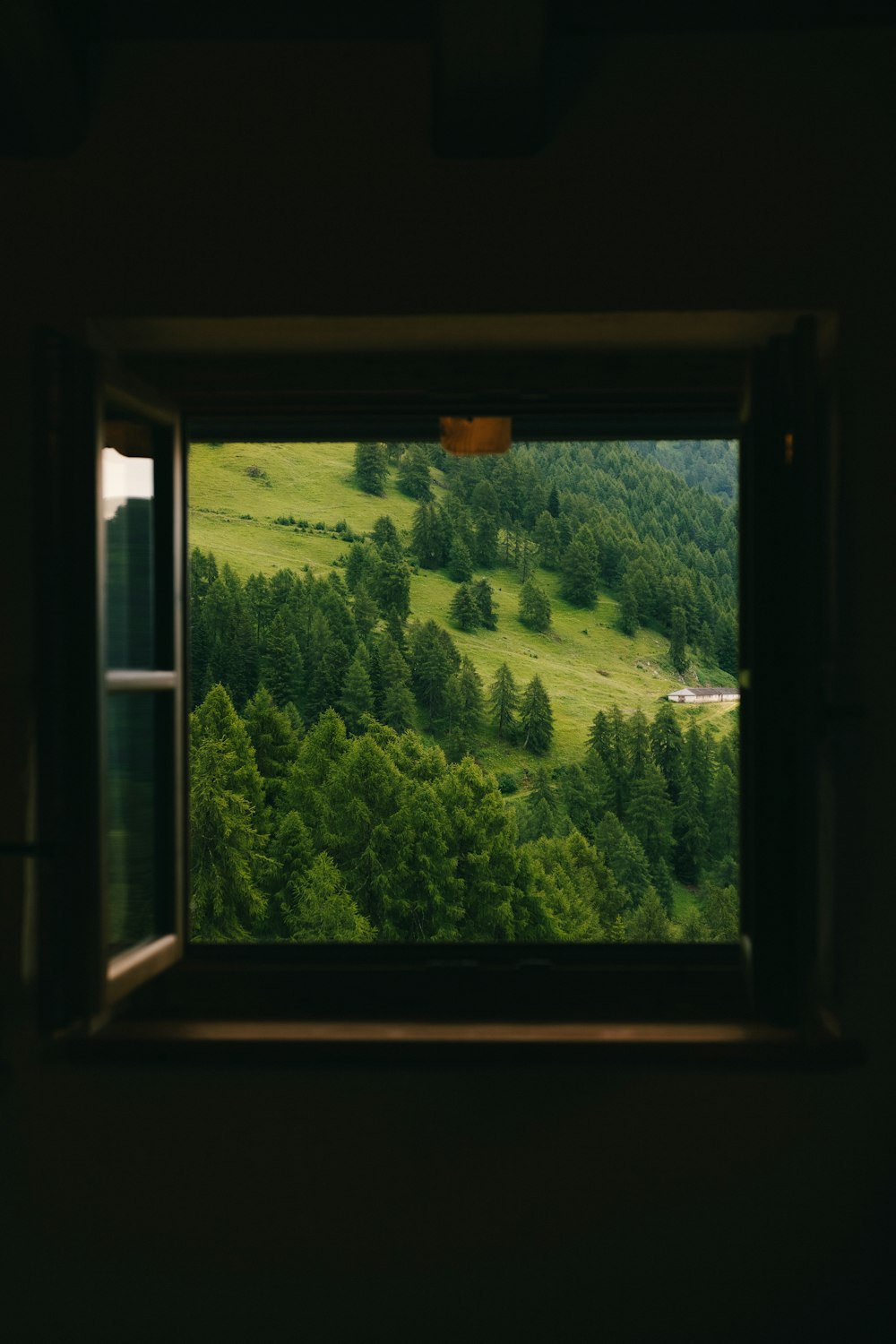 una ventana con árboles afuera