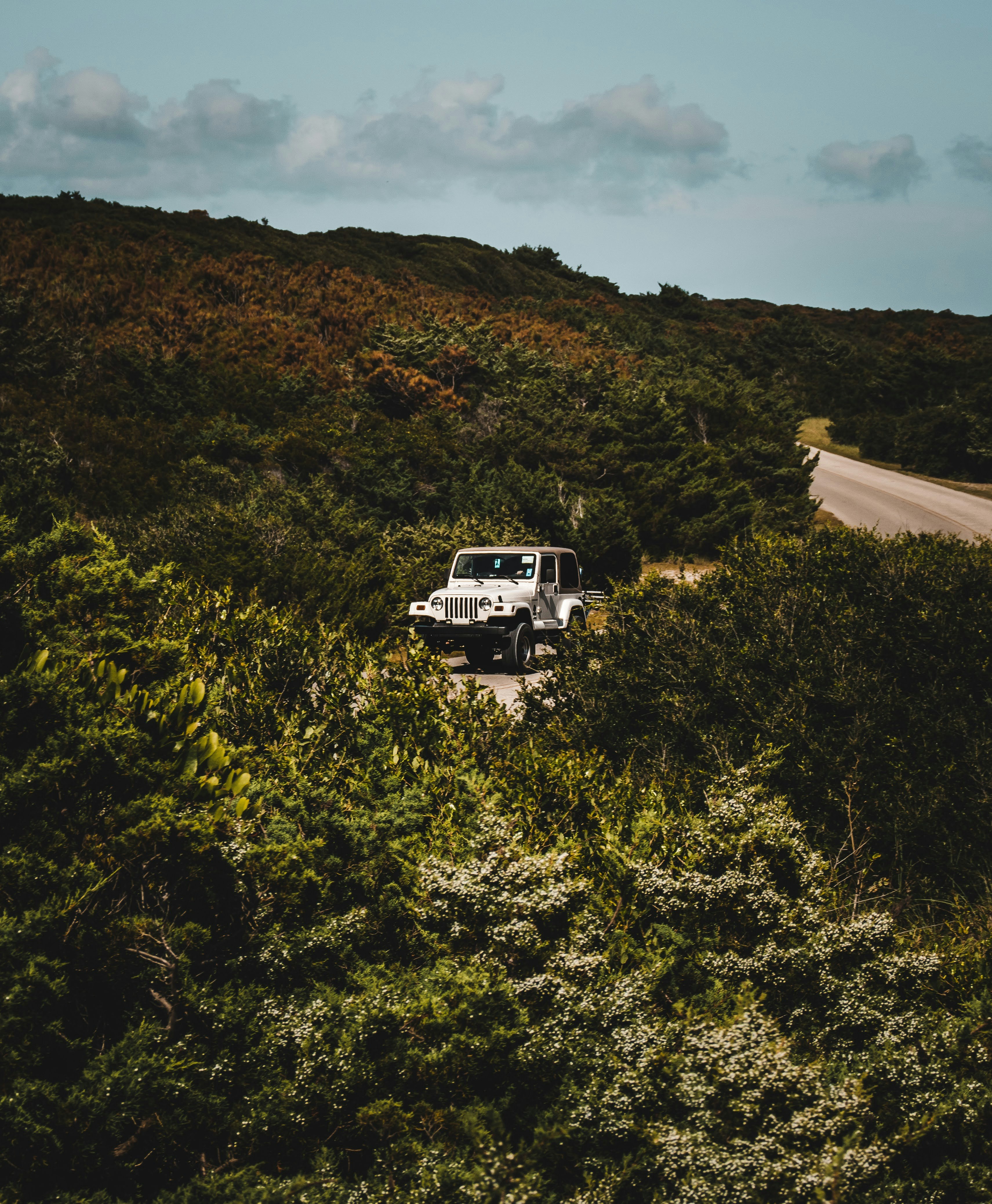 Photo by brice_cooper18