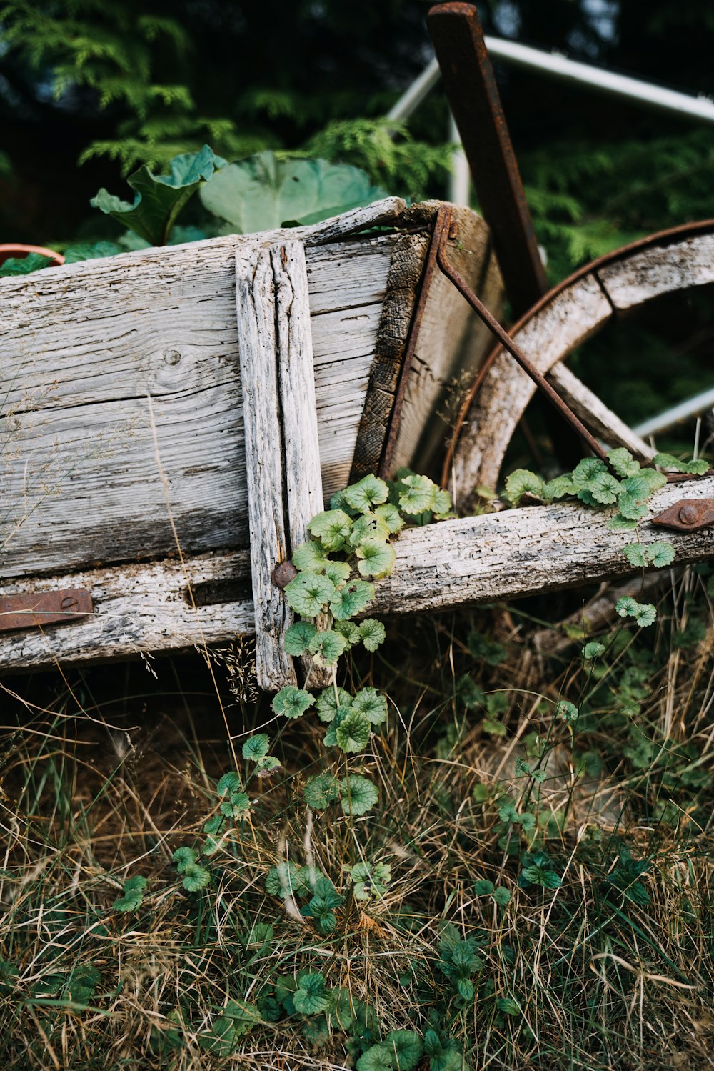 Un banco de madera en un jardín