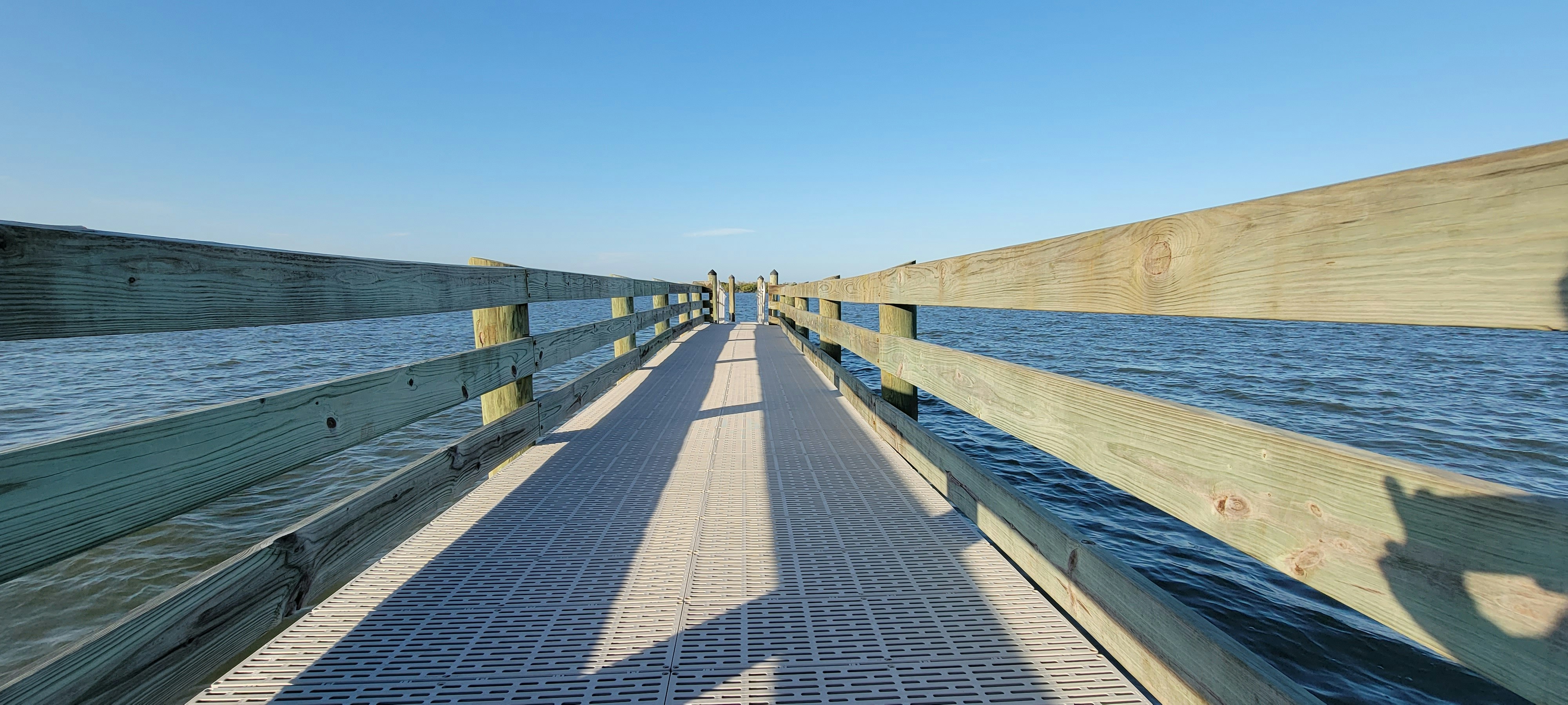 Photo by rosearhodiola