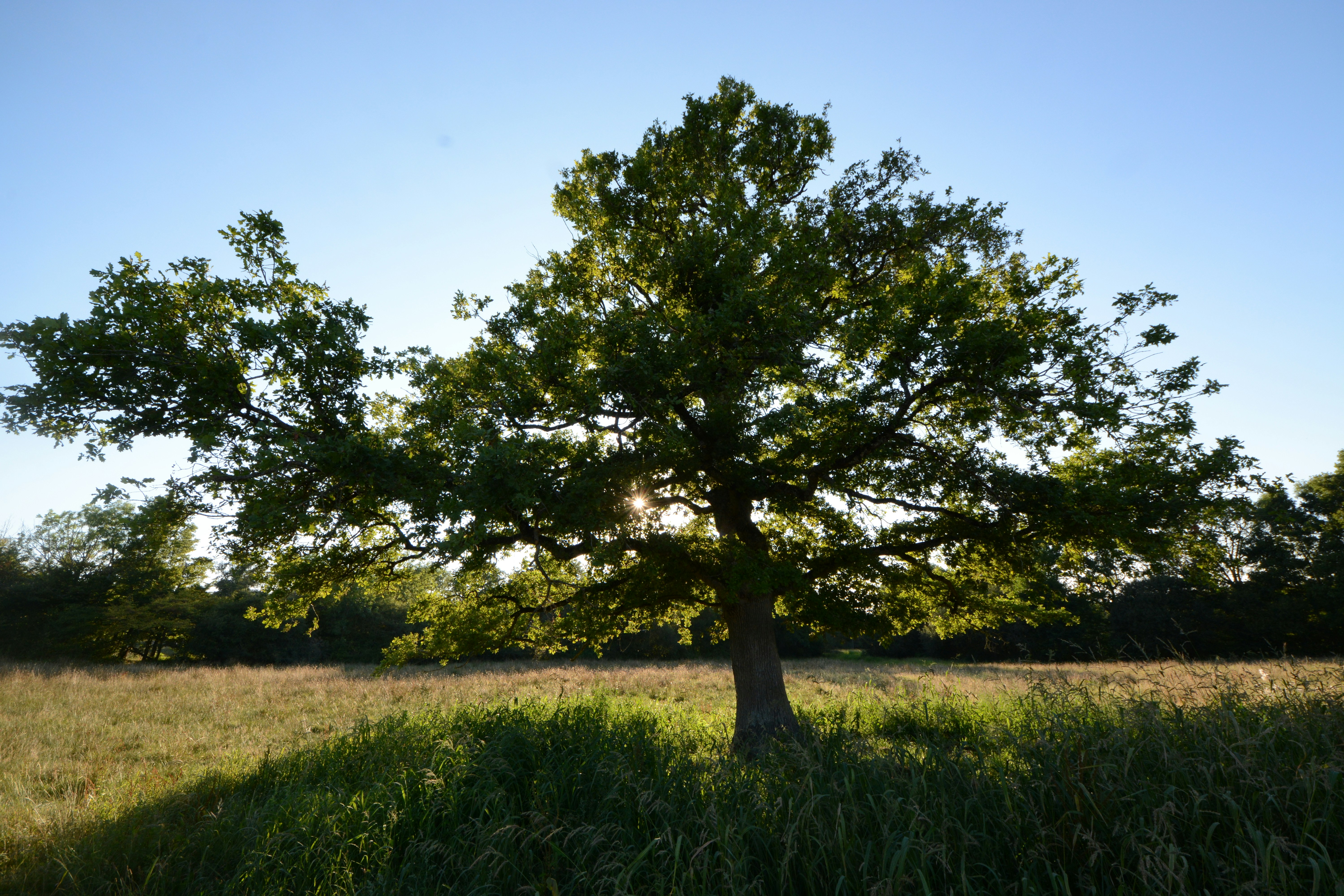 Photo by ashwinward18