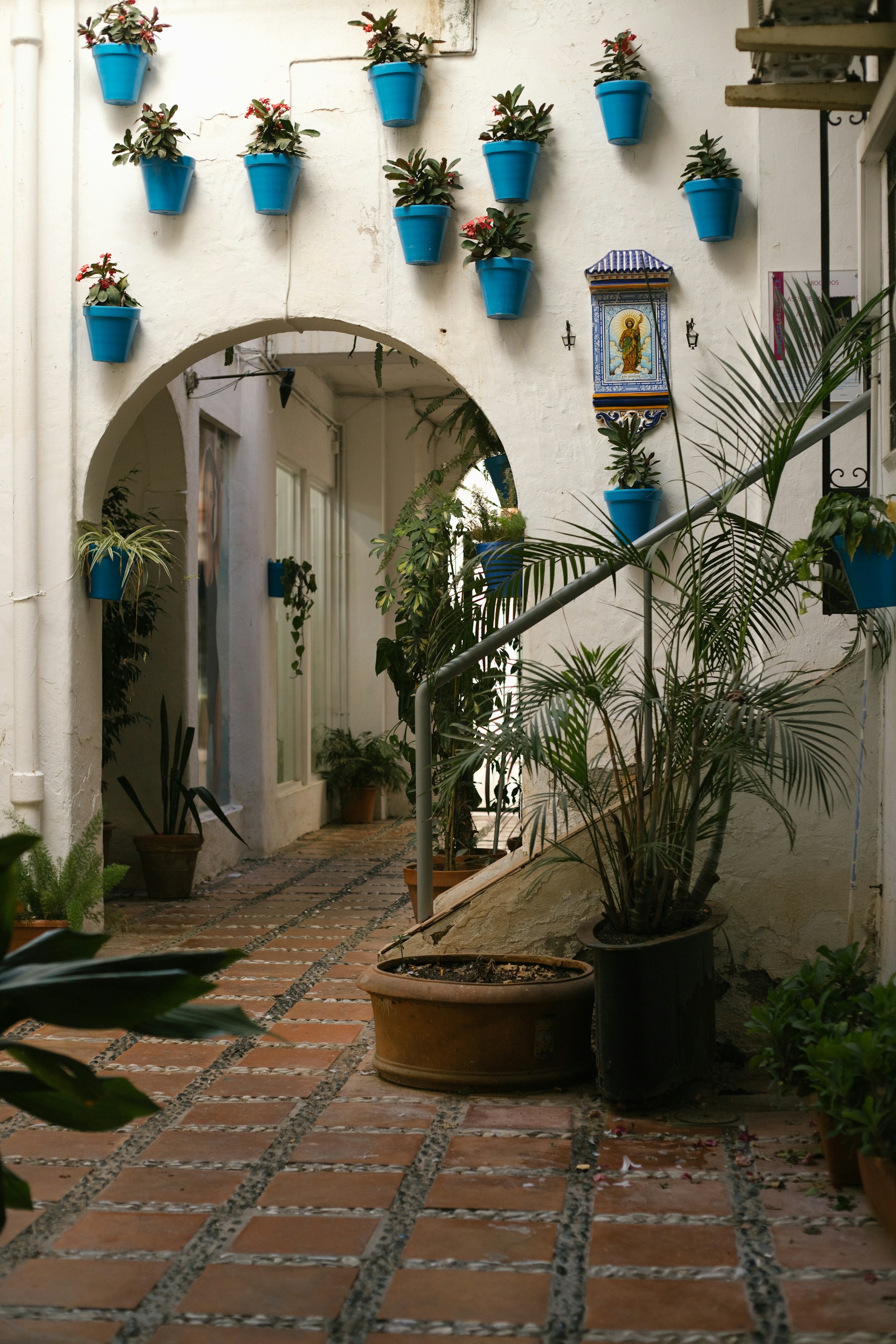a group of potted plants outside a building