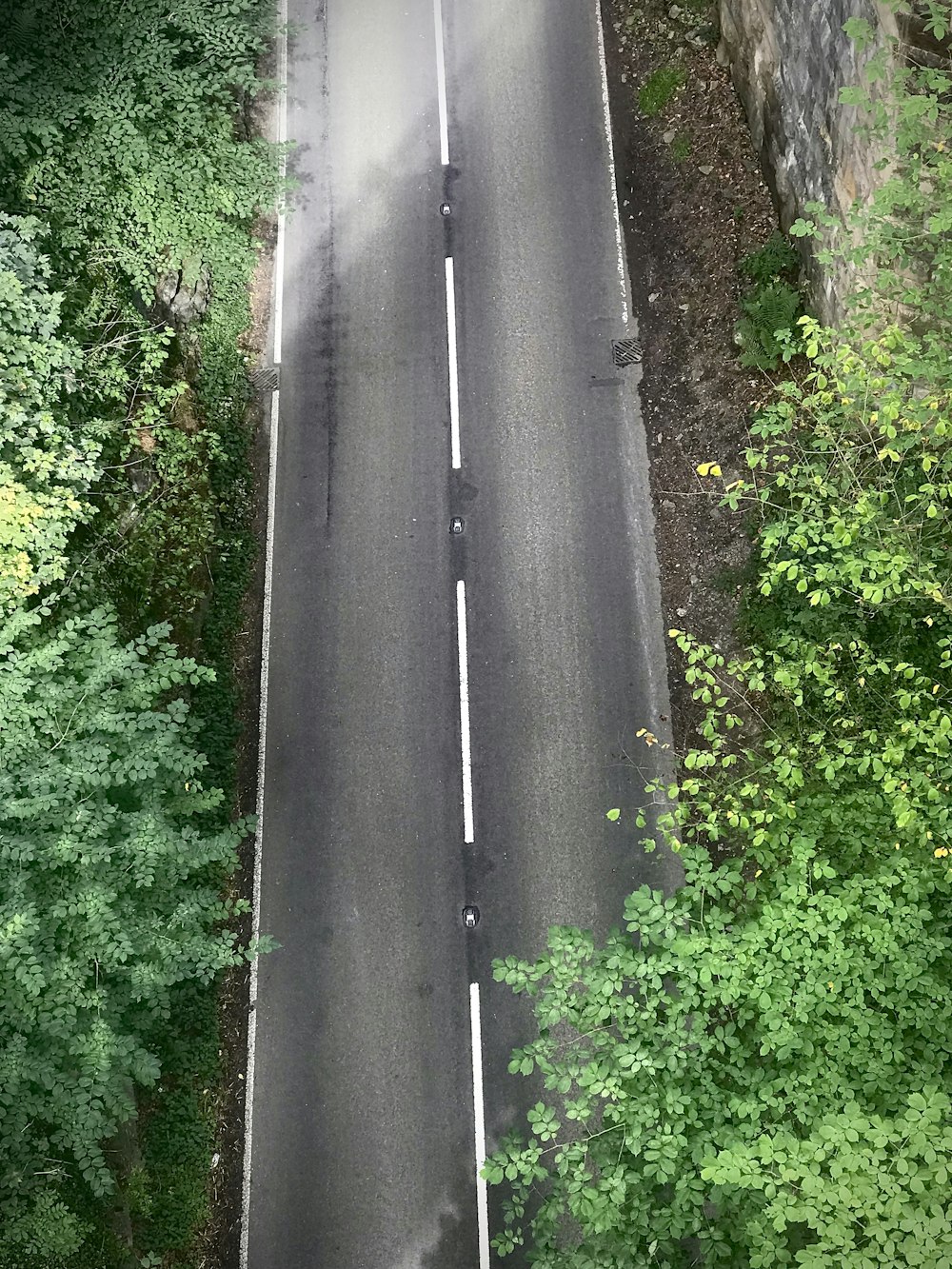uma estrada com árvores ao lado