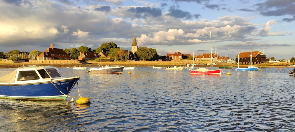 boats on the water