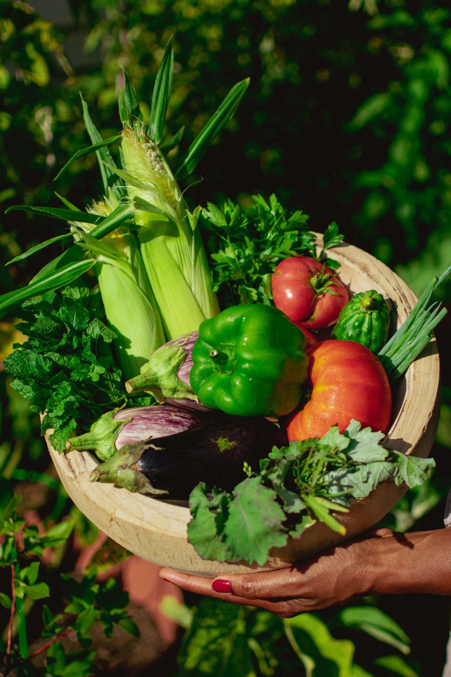 A basket of freshly grown vegetables