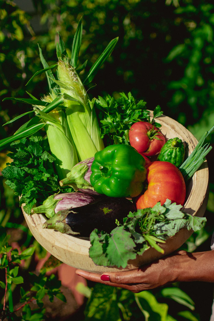 Hand holding a plate of fresh vegetables