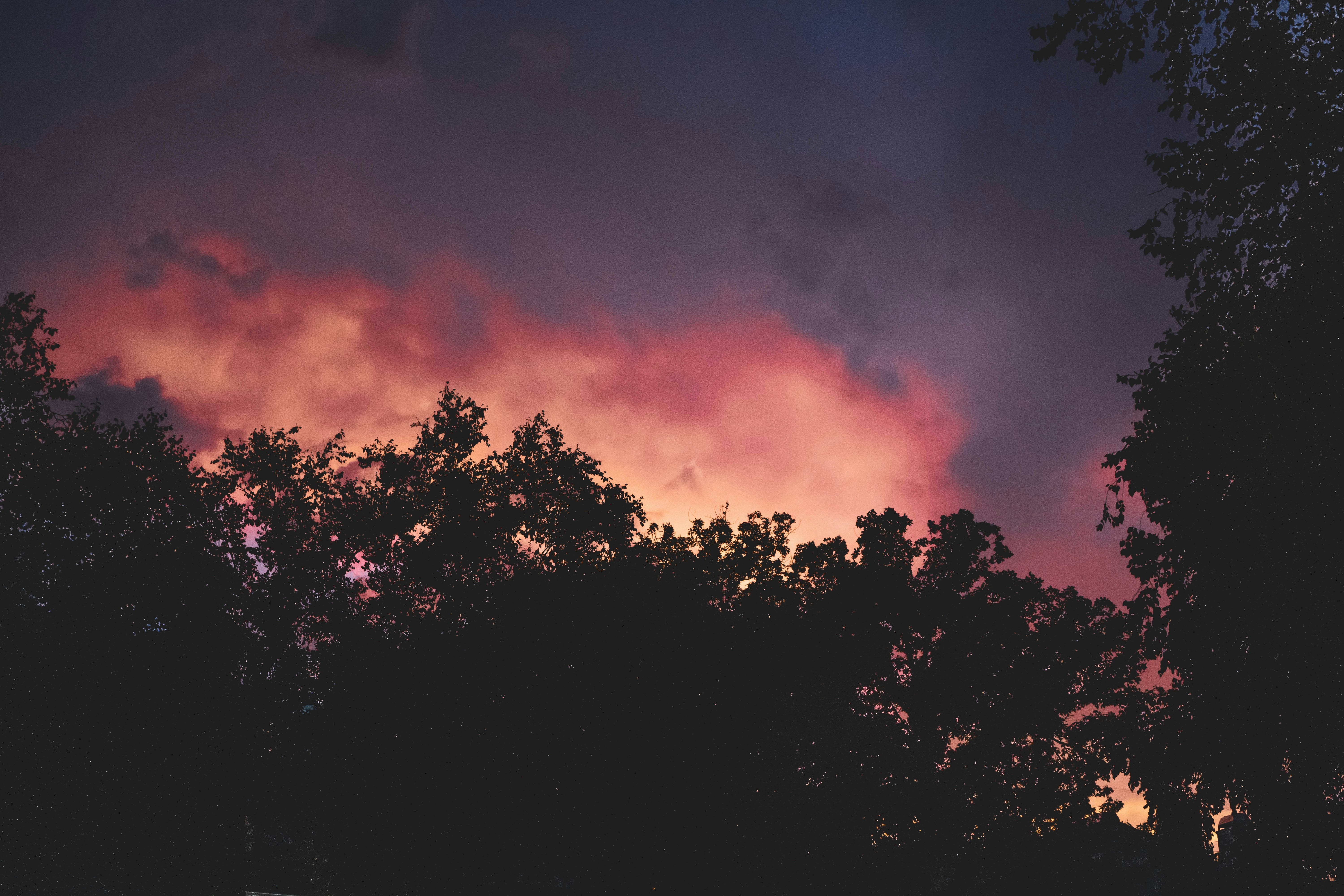 Photo by mayertawfik