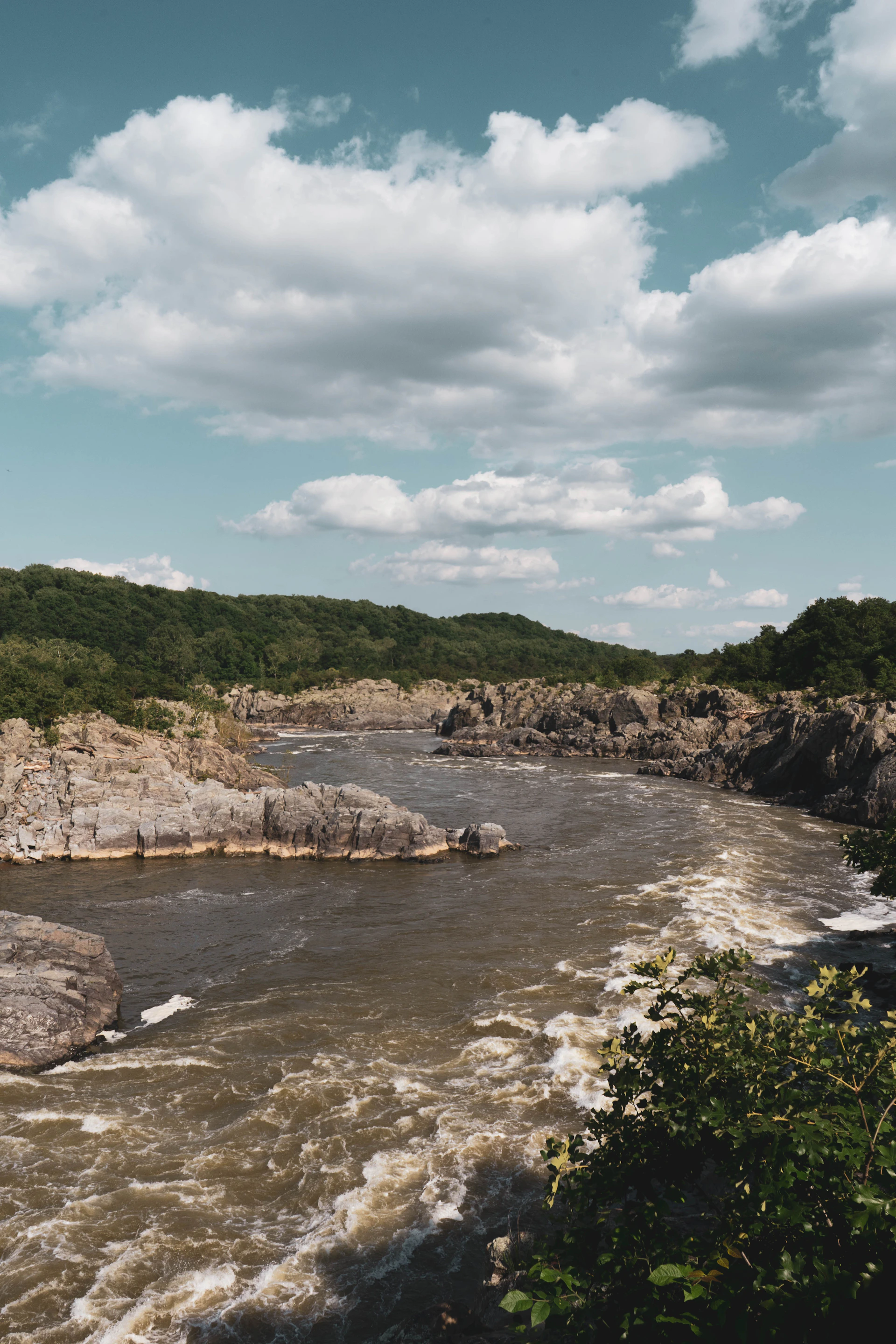 a river with rocks and trees