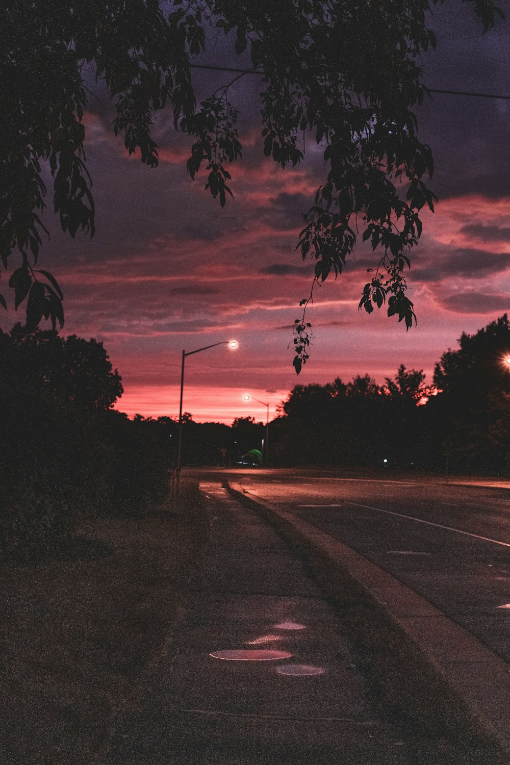 Una calle con árboles y una puesta de sol