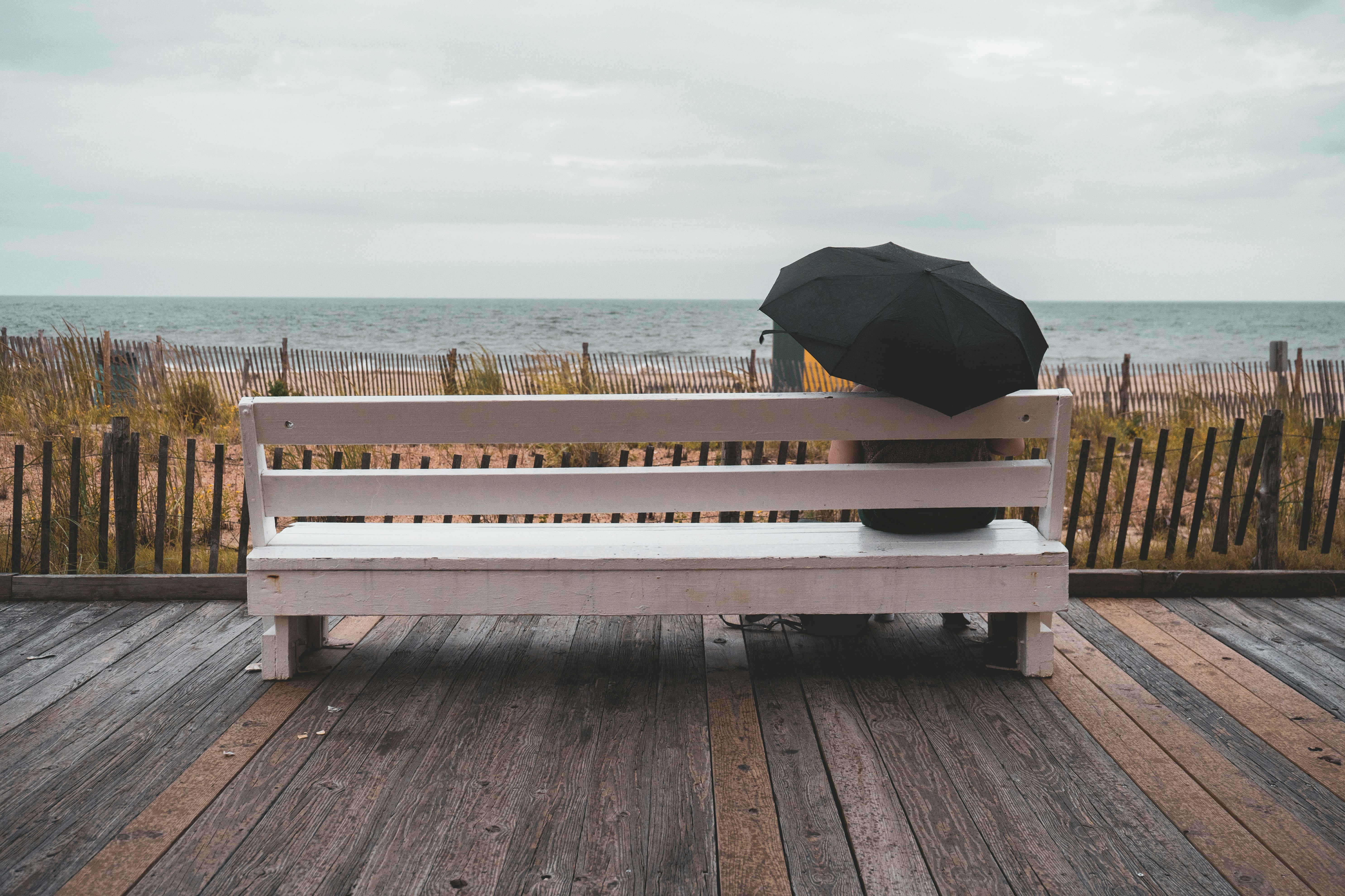 Photo by mayertawfik