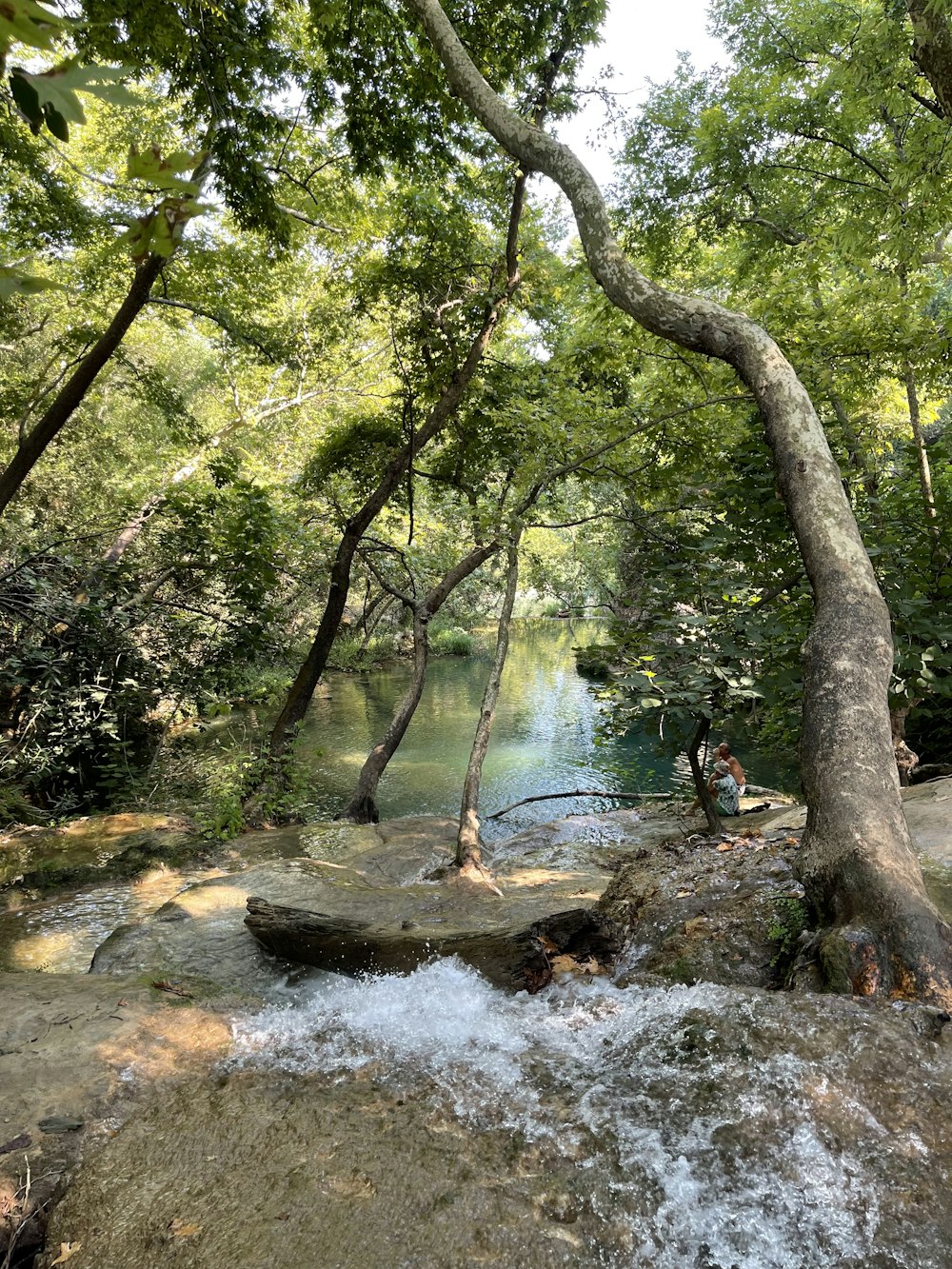 a river with a waterfall and trees