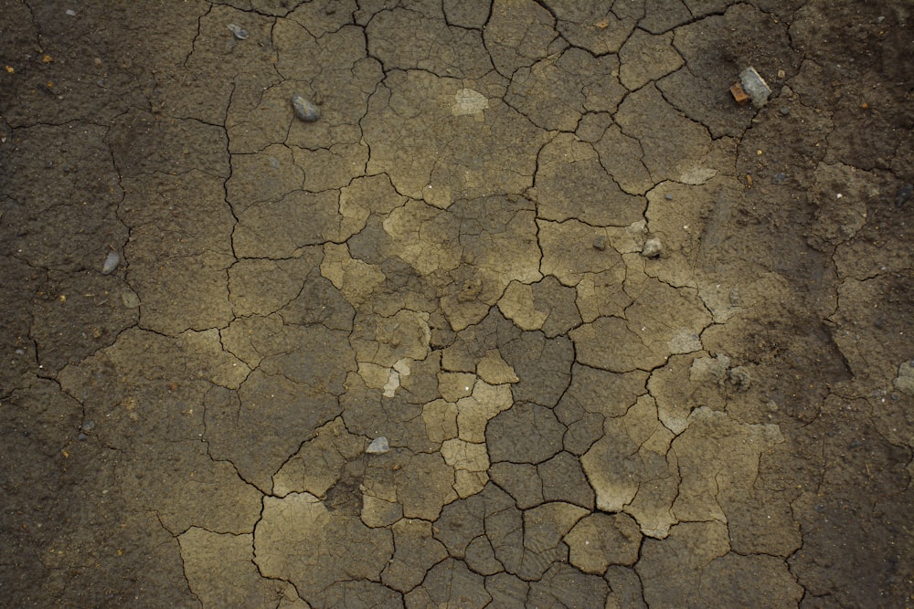 a cracked dry ground