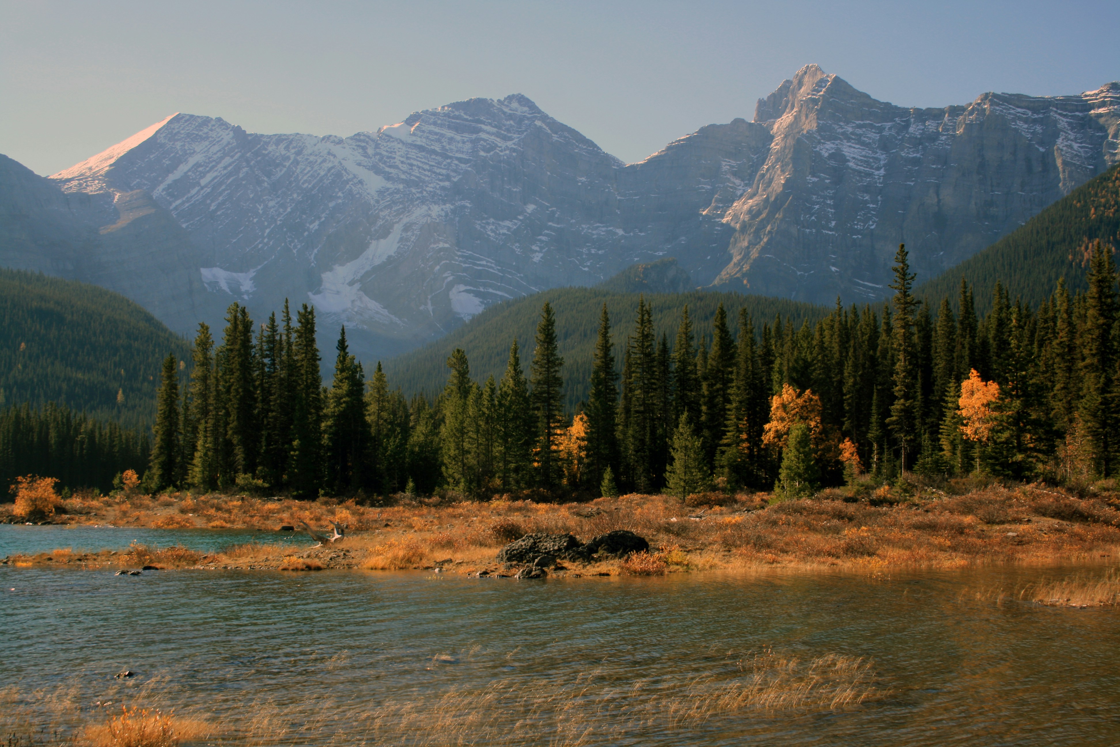 Photo by jason_trudeau