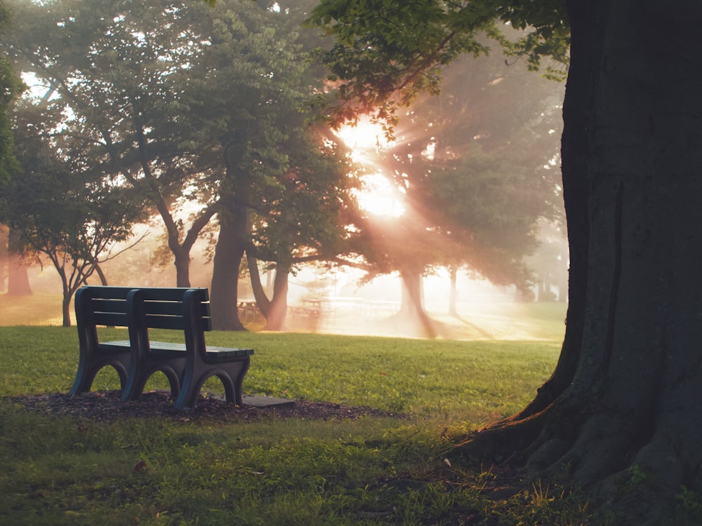 a bench in a park