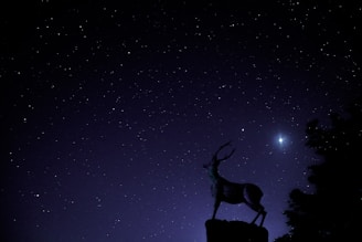 A mystical black unicorn silhouette glowing under a starry night sky
