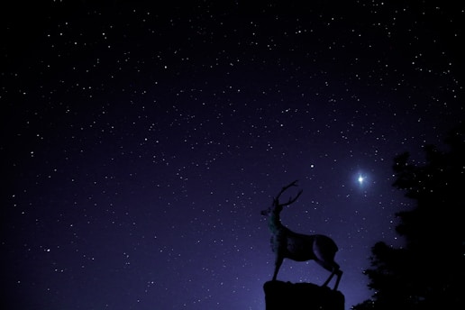 A mystical black unicorn silhouette glowing under a starry night sky