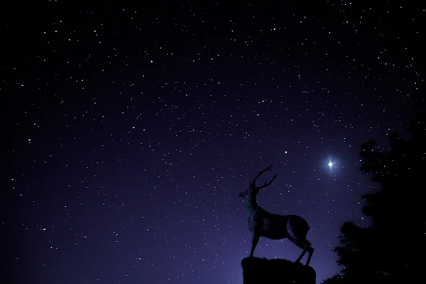 Horoscope Matching - Guru Sachidanand Astrology