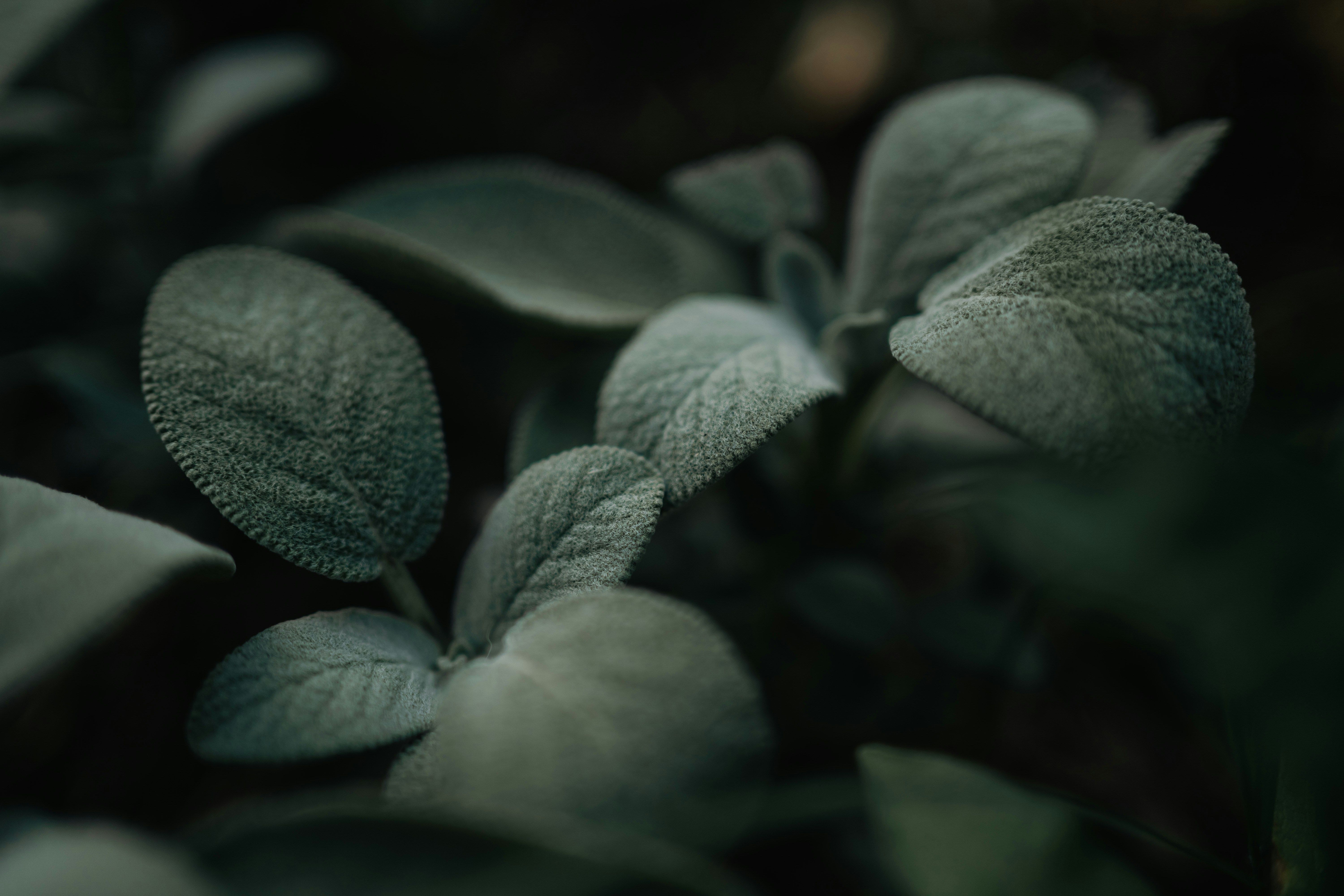 Photo by sburleson91