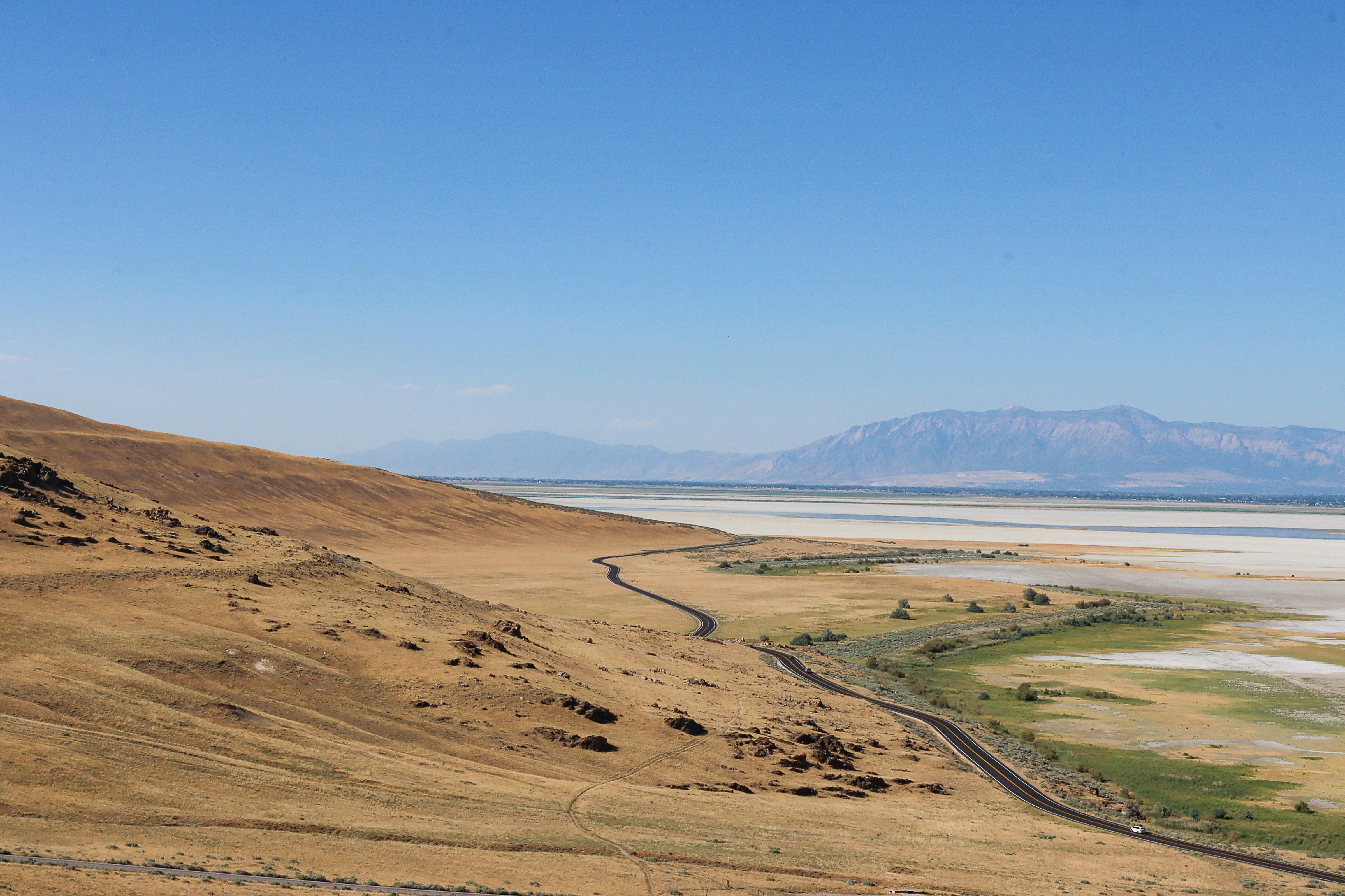 Photo by vivd_creations