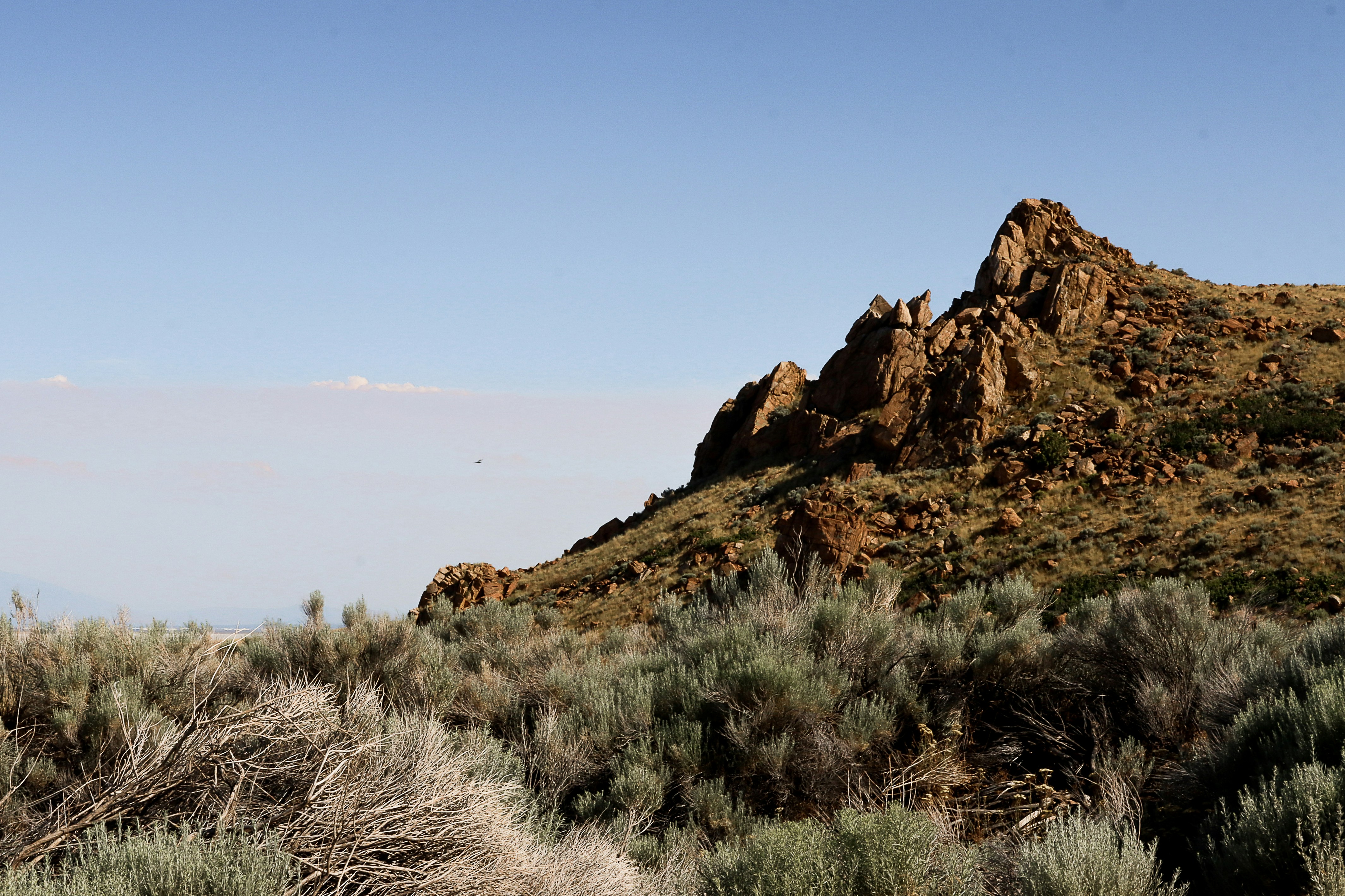 Photo by vivd_creations