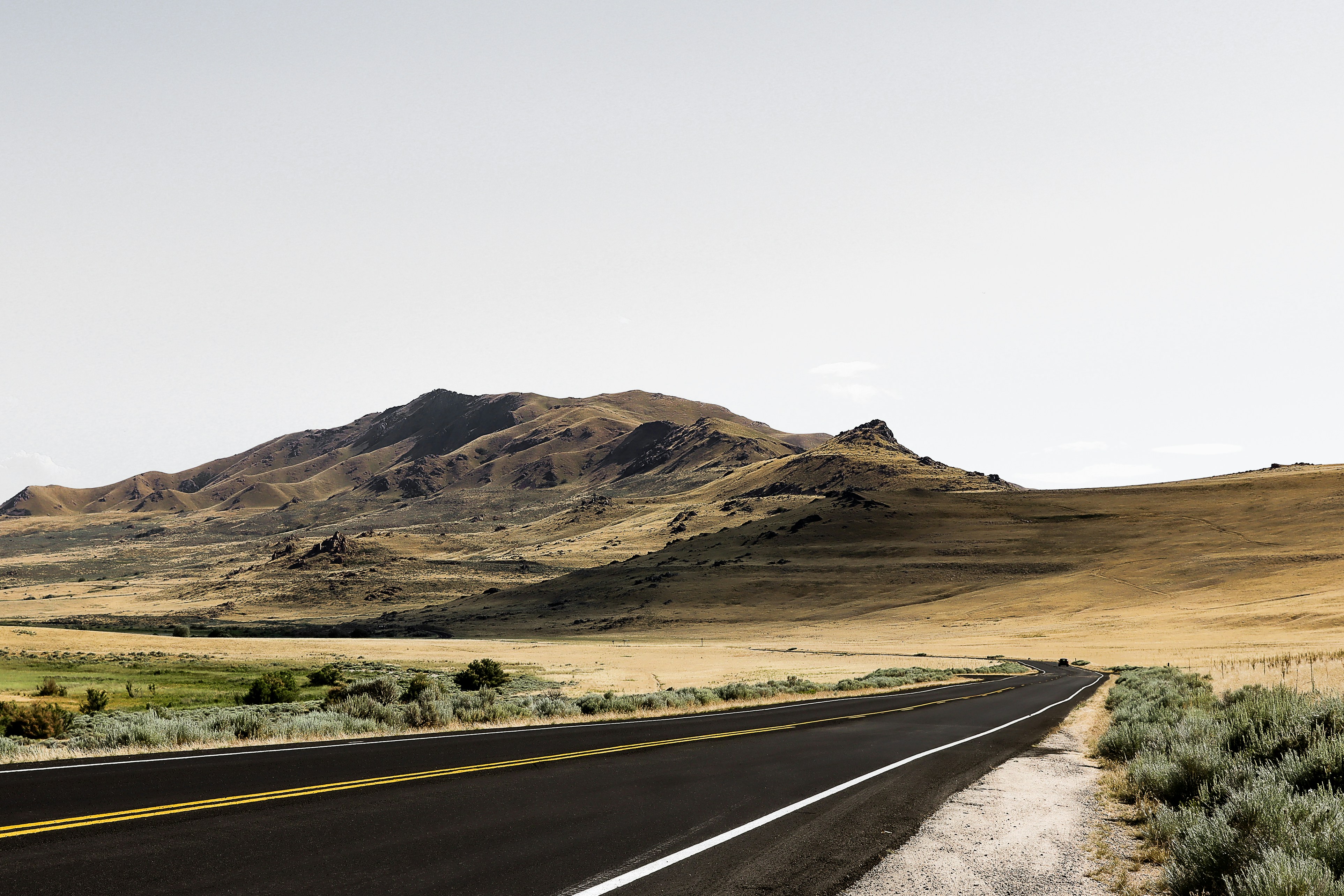 Photo by vivd_creations