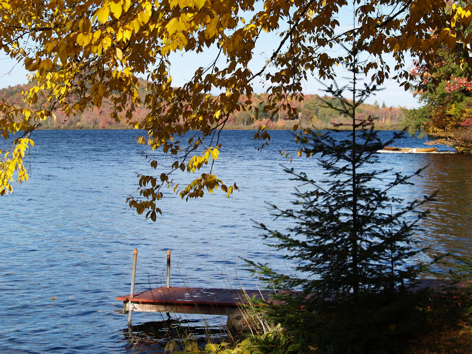 Quiet lake dock framed by autumn foliage