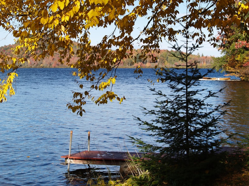 Autumn leaves framing a small dock and quiet inland lake, representing Tamarack Lake