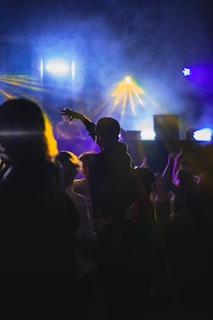 a crowd of people at a concert
