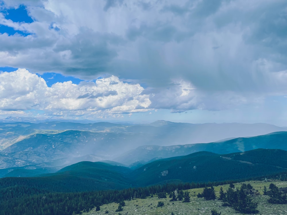 a landscape with trees and mountains