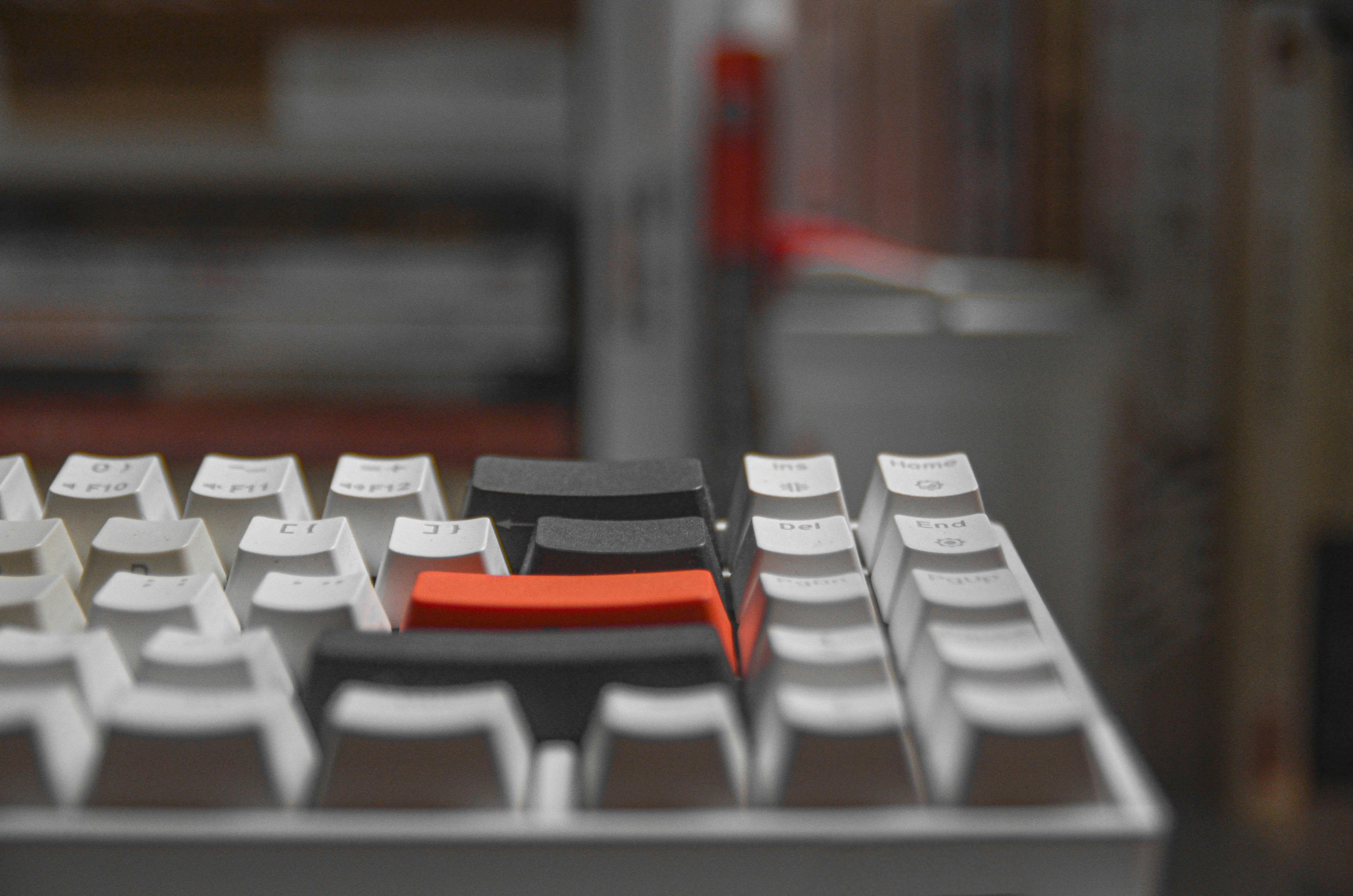 Tipos de Teclados: Mecánicos, de Membrana e Híbridos