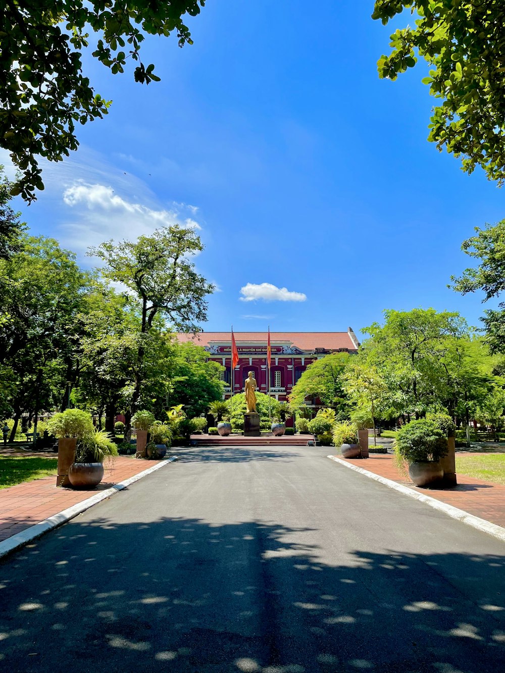 a road with trees and a building in the background