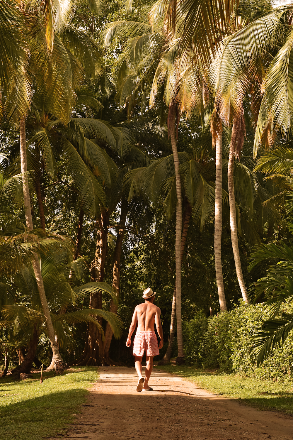 a person walking on a path between palm trees