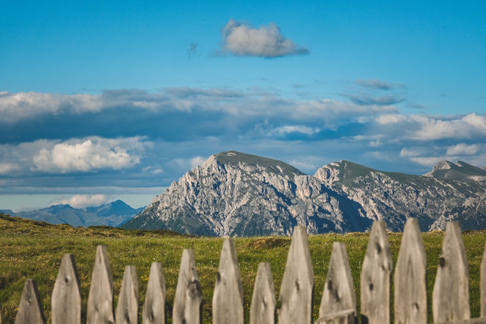 a field with a mountain in the background