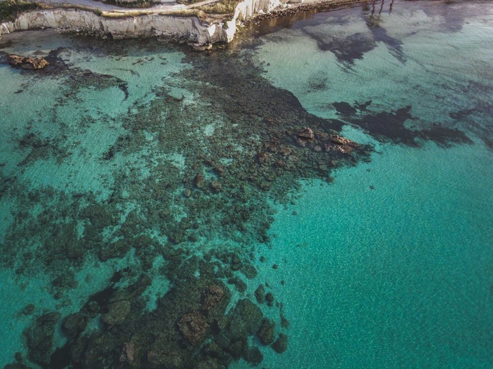 a body of water with rocks and plants around it